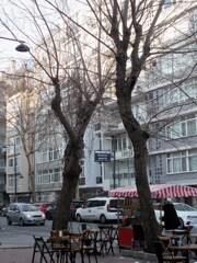 もうすぐ芽吹きだすね～