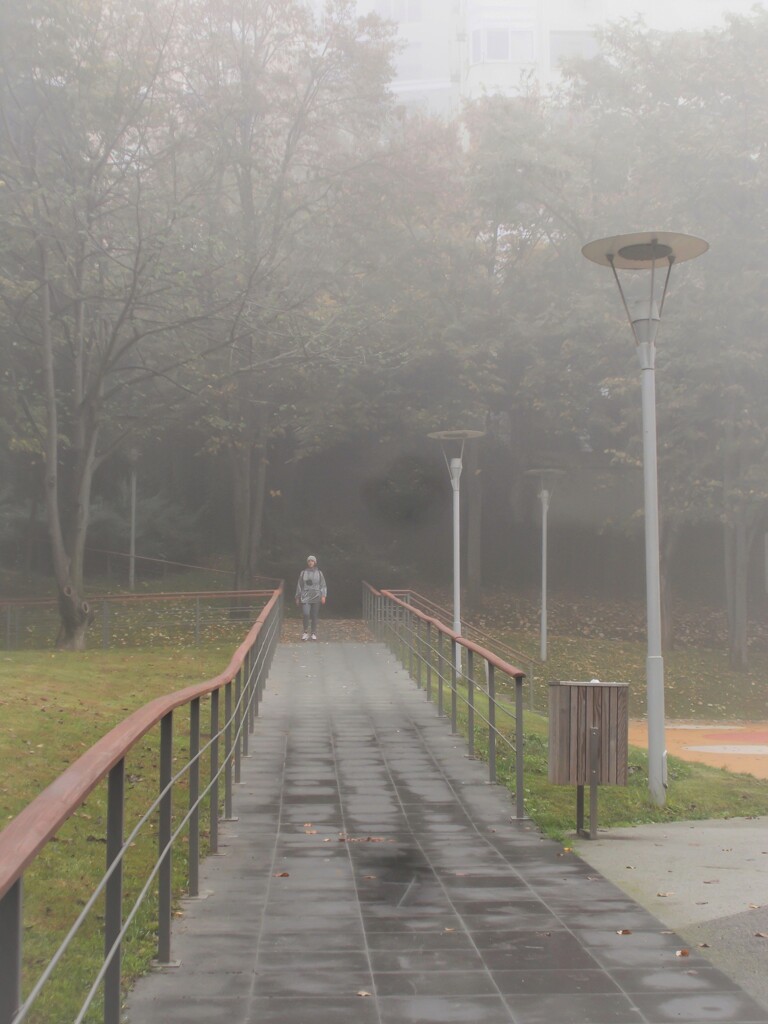 霧の中の風景…