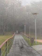 霧の中の風景…