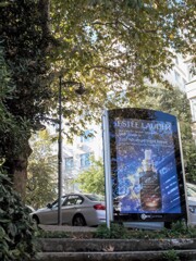 大樹と広告パネル～