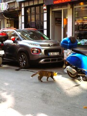 メカニ二ャン～★