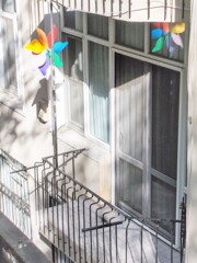 廻れ　廻れ　風車～.。o○