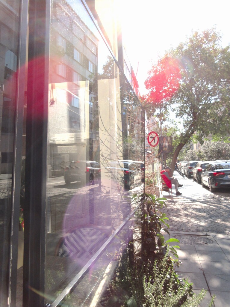 朝陽の散歩　ランランラン～～♪って