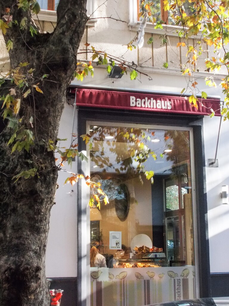 秋のある朝　09：10～