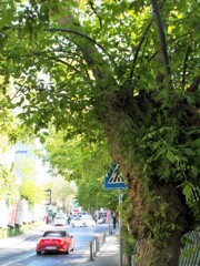 紅い車が過ぎてった～～