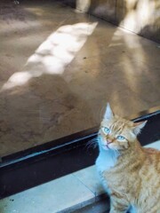 ねぇ　お願い～♡　ドア開けて～♡