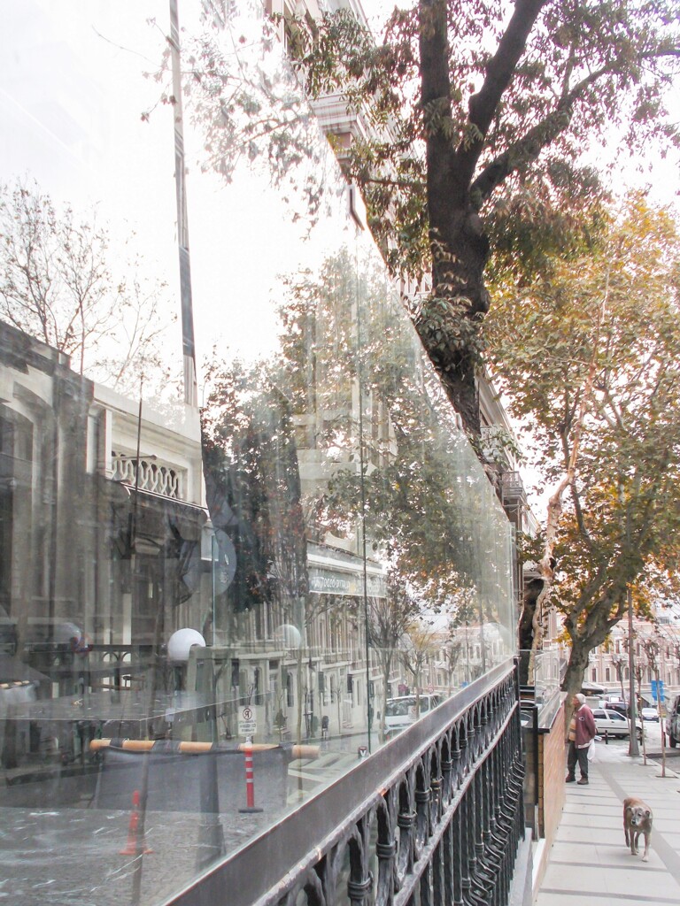 おじさんも野良ちゃんも枯葉色に～～