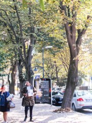 "！？！　それ　大っ嫌いな人じゃなかったの？！？”