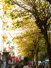 金色の秋～～♪