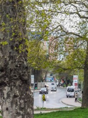 朝～　目覚めたそれぞれの命達～