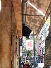 キラキラ朝陽～✨～