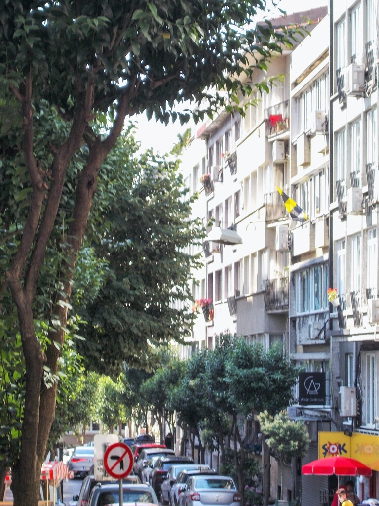 住宅街～