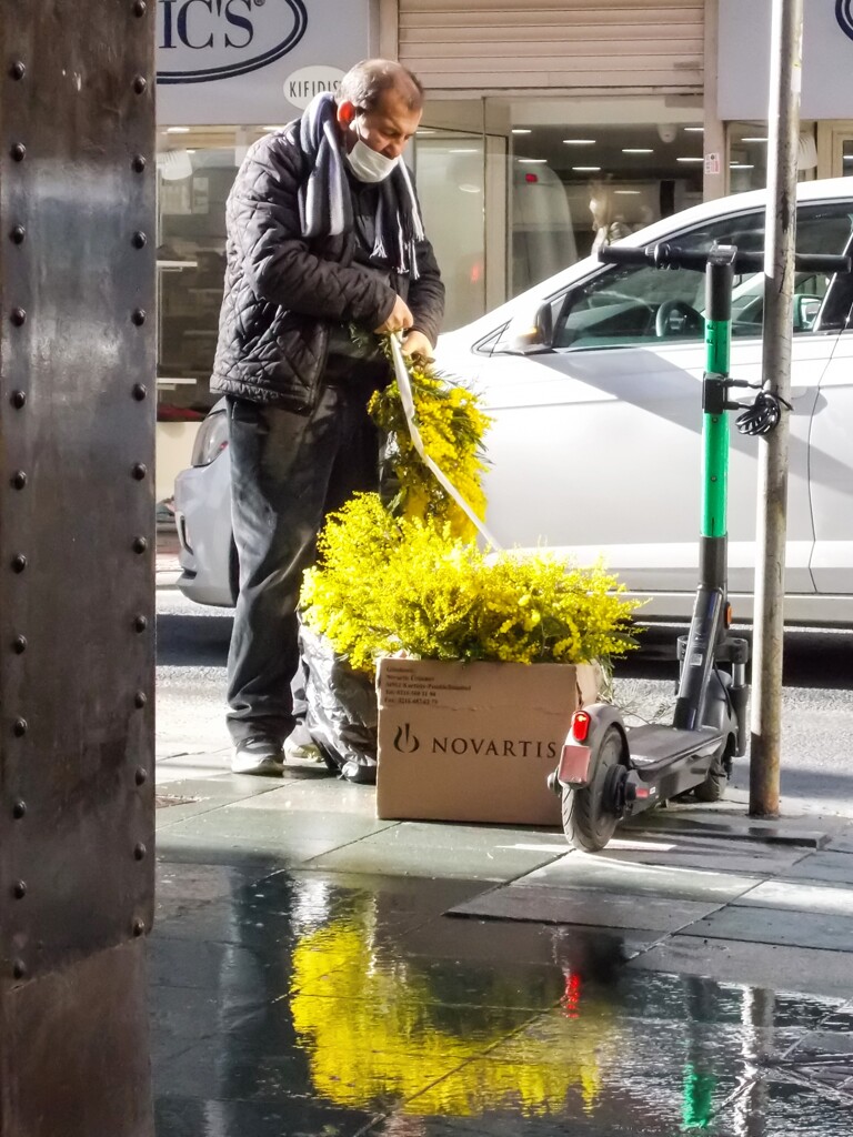 ジプシーの花売りの最初のミモザですって～❀