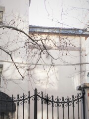 陽射しの弱い寒い朝でした…