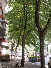 木漏れ日の中～✨