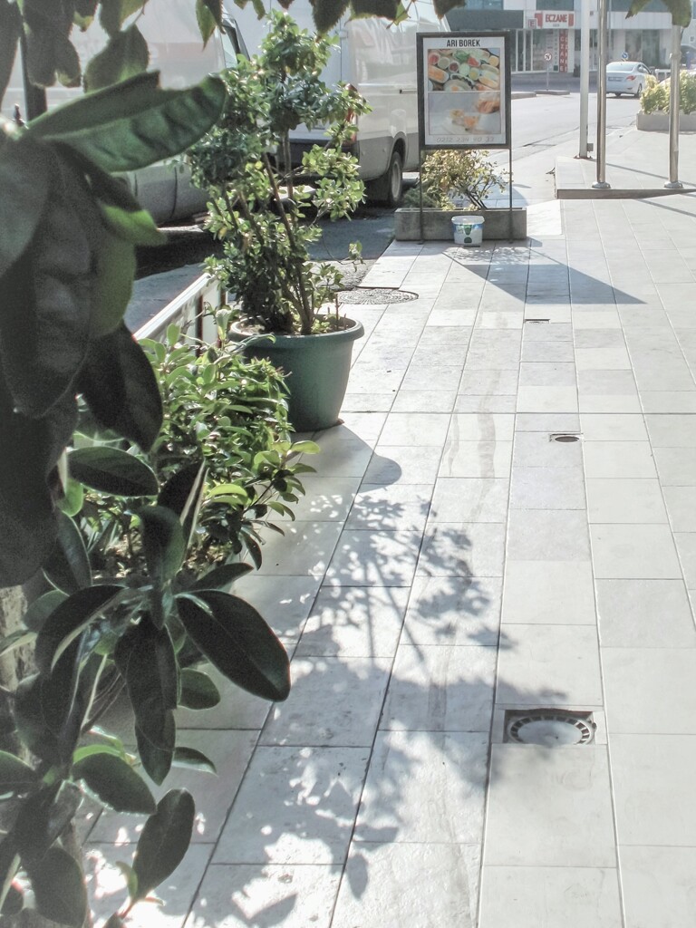 翡翠色の朝陽～～✨