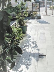 翡翠色の朝陽～～✨