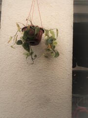 独来独去 　無一随者 ・・・