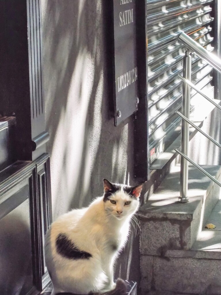 ちょっとの気配で　あっ来た～♡♪～