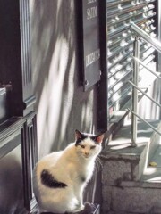 ちょっとの気配で　あっ来た～♡♪～