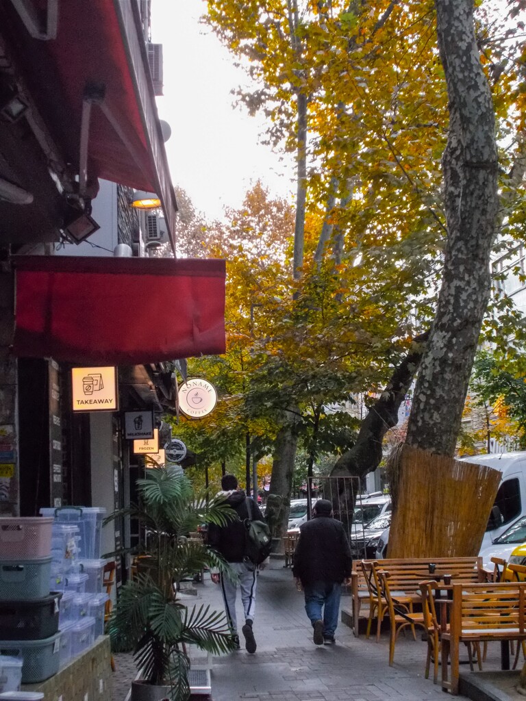 いつか必ず来る老い～