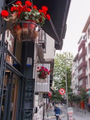 赤い花のある道・・・