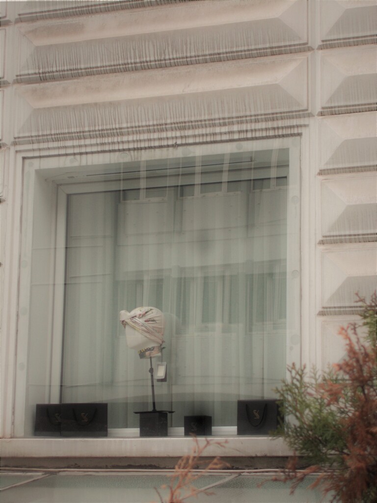 窓～～　もっと自由になりたい～～