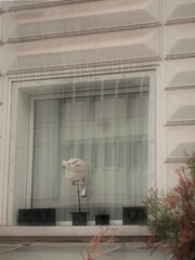 窓～～　もっと自由になりたい～～