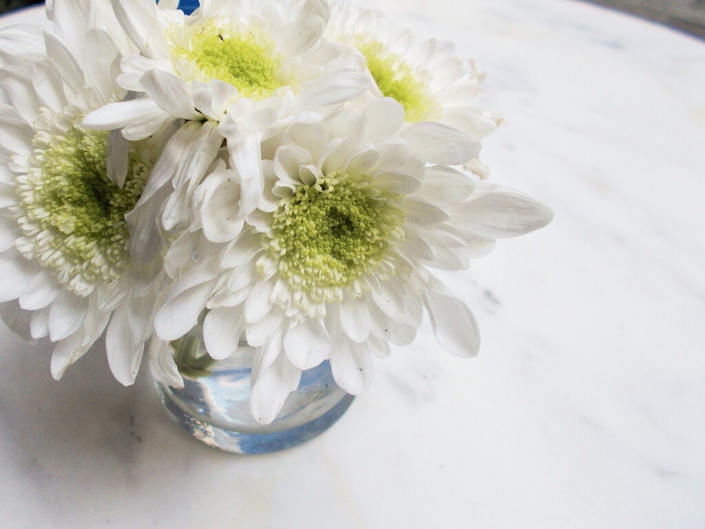 白いおもてなし～♡