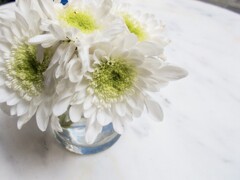 白いおもてなし～♡