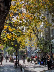 もう　いぶし銀の様な輝きの朝陽～✨