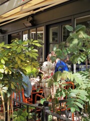 カフェのテラスにきれいな子がいた～♪