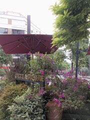 アンニュイな一角～～