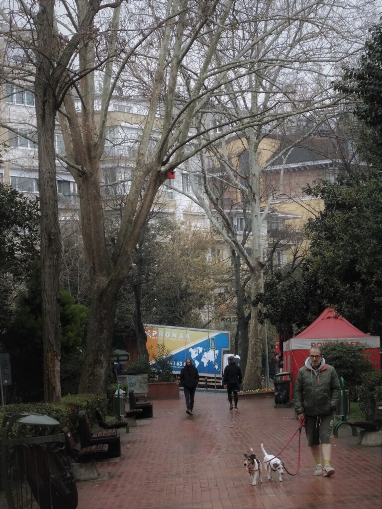 雨に濡れても～～♪