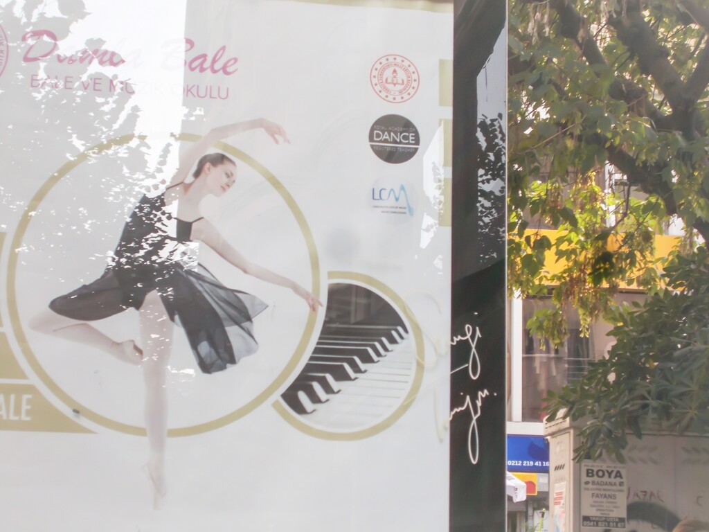 千の風～～　秋には光になって～✨