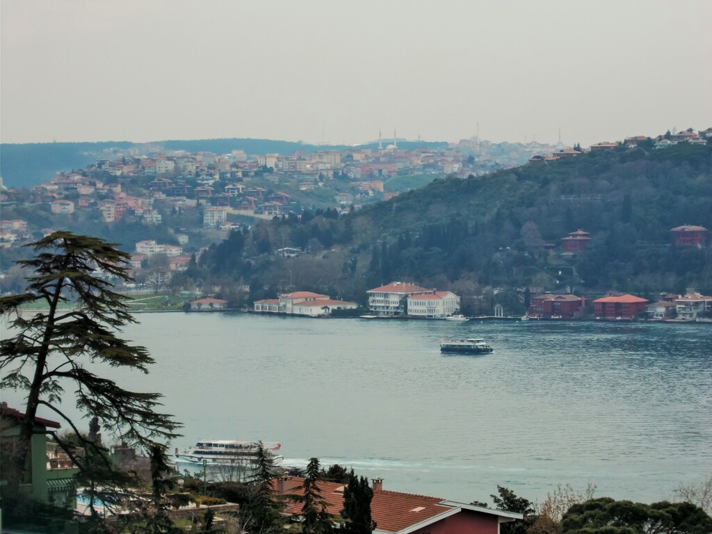 ボスポラス海峡～　2隻ともフェリーみたい…