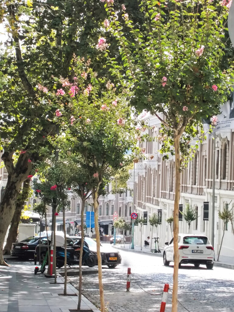 白壁が眩しい海への坂道～✨～