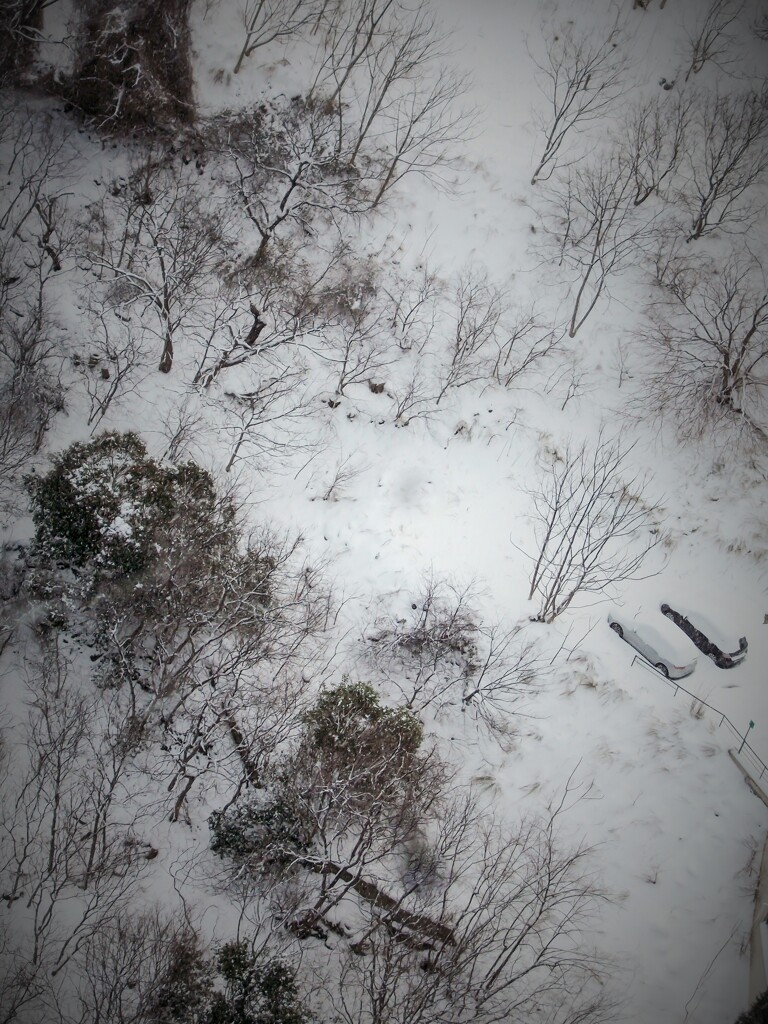 名残の雪～　見えぬ心を照らしておくれ～