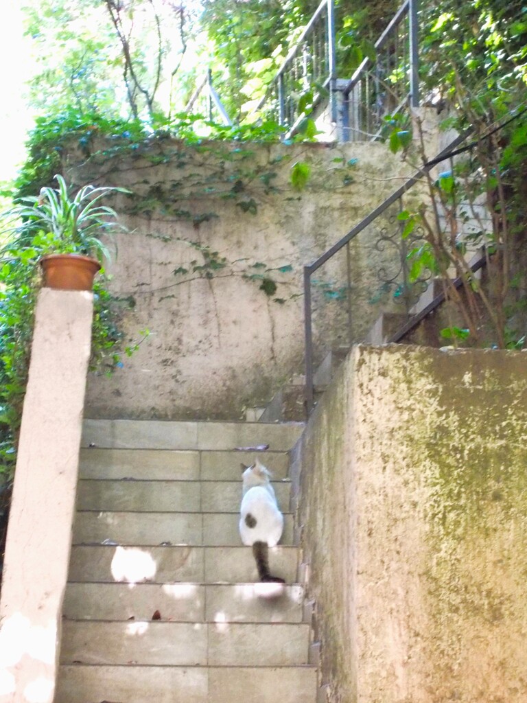 必殺　三頭身+α
