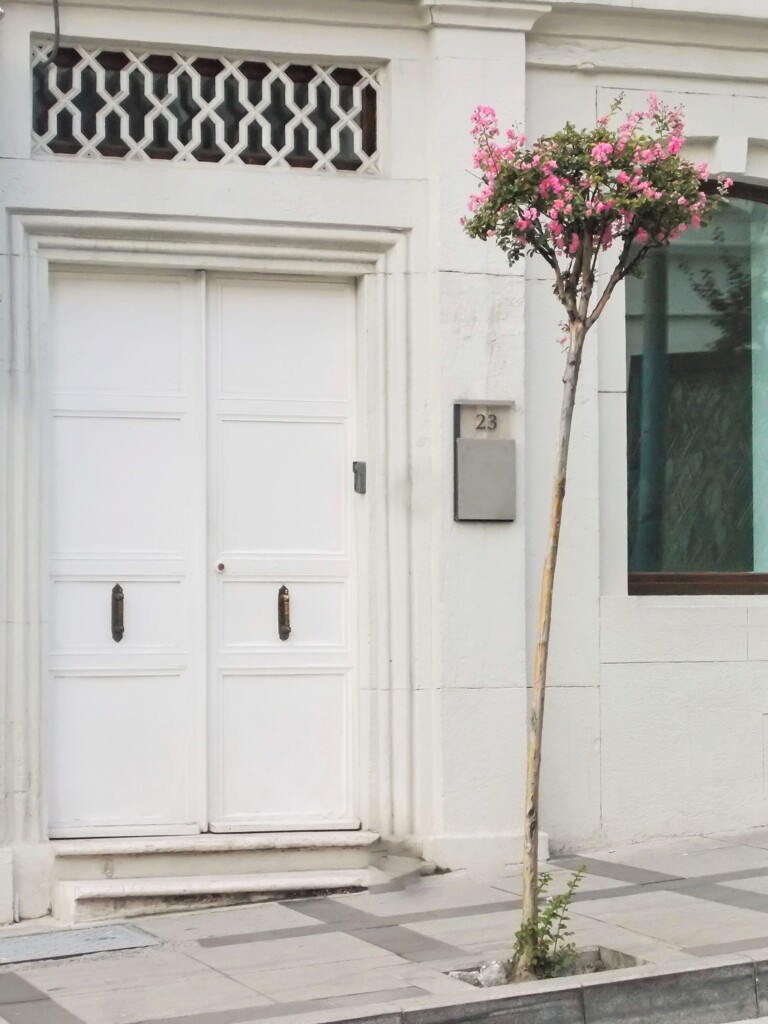 海辺の街～　23番地～