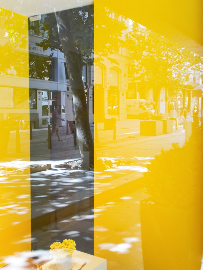 夏の朝　通り…