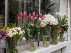 何時もありがと♡　１輪どうぞ♡～