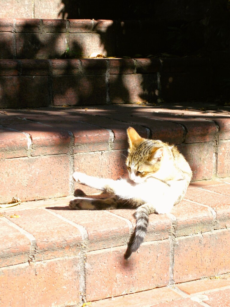 チビ助　そろそろ独り立ち～～♡