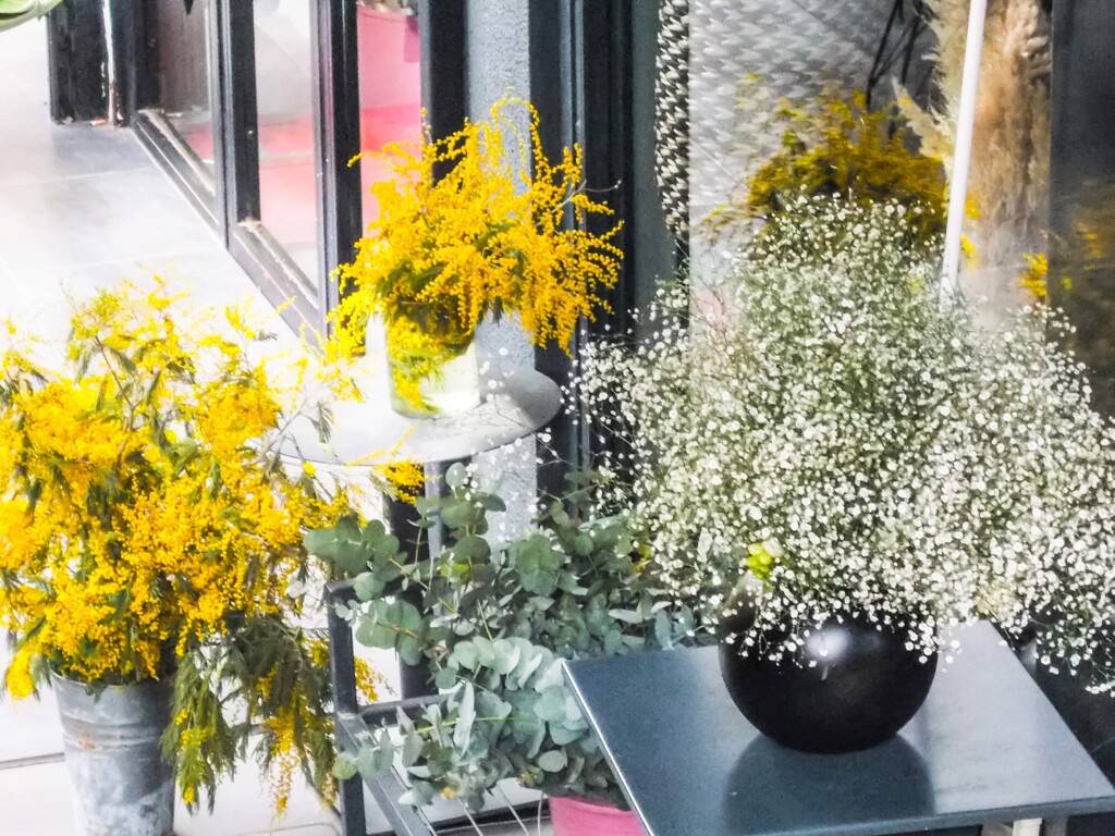 春よ来い～早く来い～♪