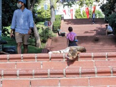 ヒュウマンと子猫の信頼関係～♡☆