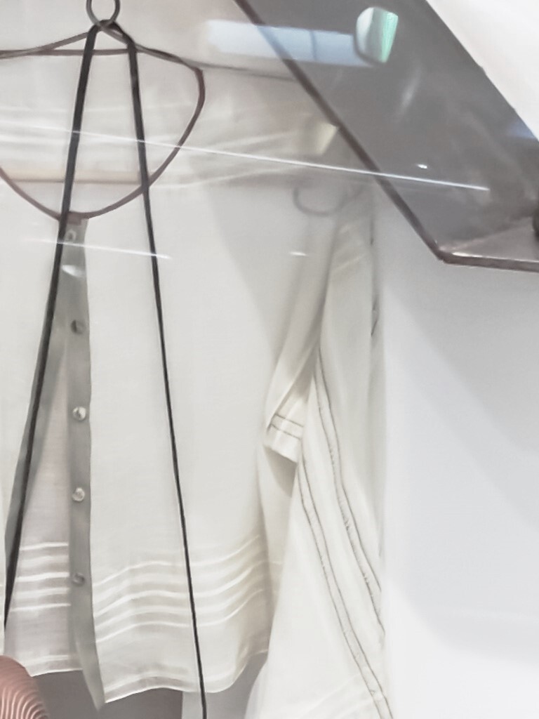 羽をまとう～～