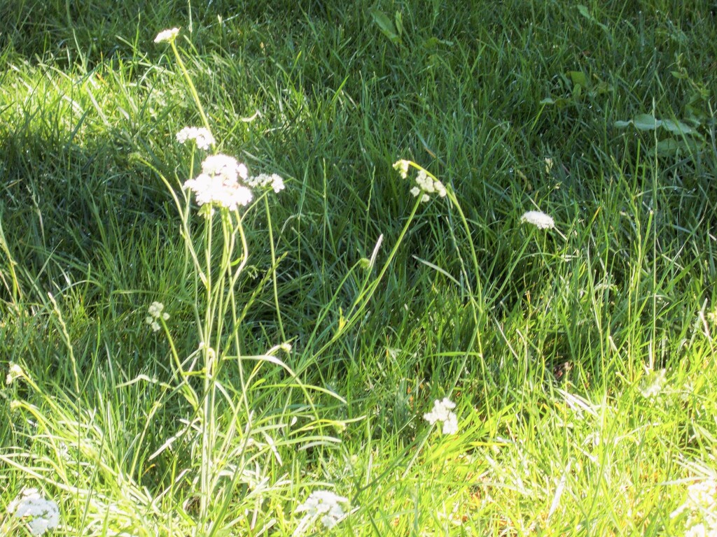 さりげない日常の片隅の風景でした・・・
