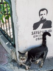 ニャンニャン７　ミッション　コンプリート！