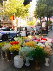 今日はどれにしようか～～♡♪