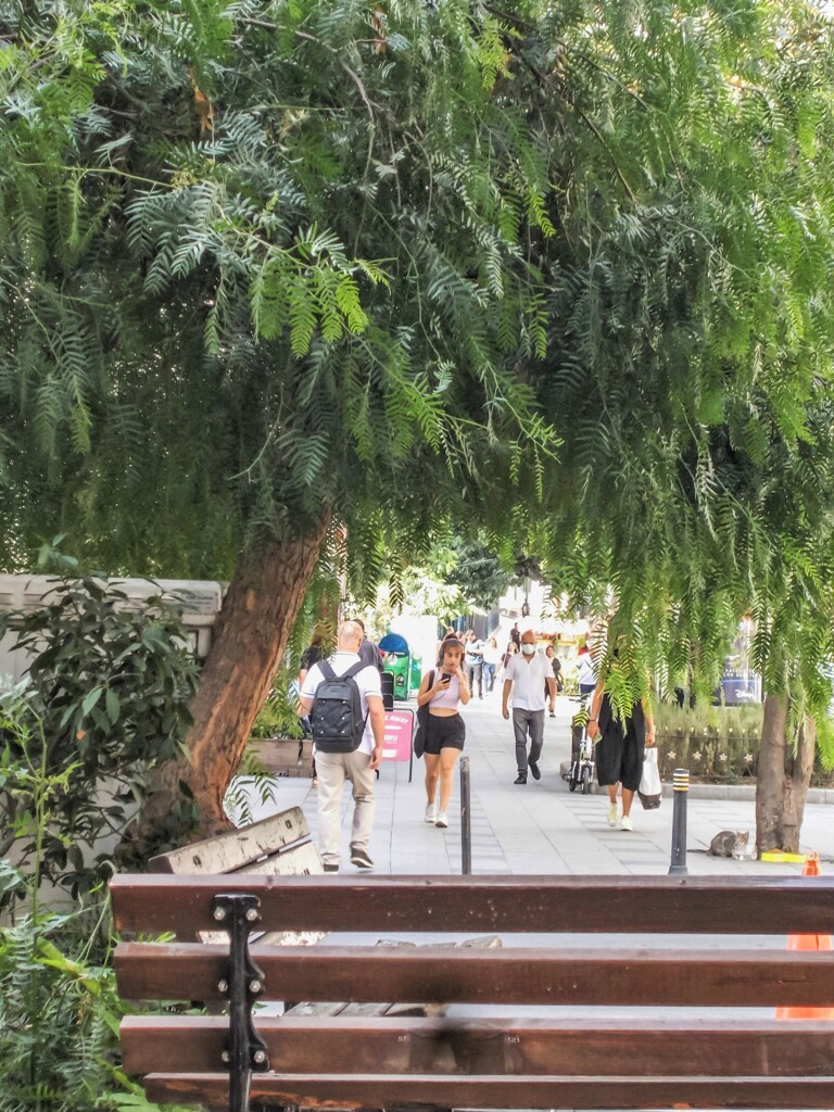 境界線…　ここからは私の世界…